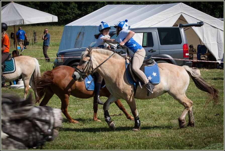 Mounted Games 275